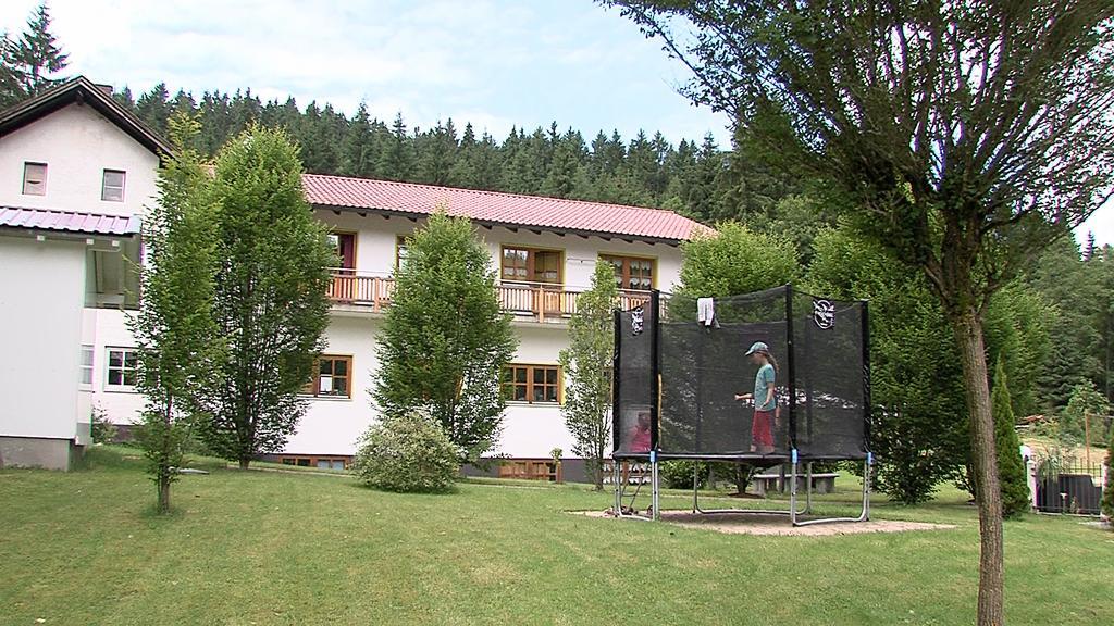 Landgasthof Zum Hirschenstein, Pension Garni Sankt Englmar Extérieur photo